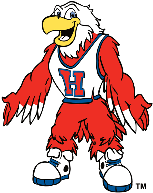 Hartford Hawks 1984-Pres Mascot Logo v2 iron on transfers for clothing